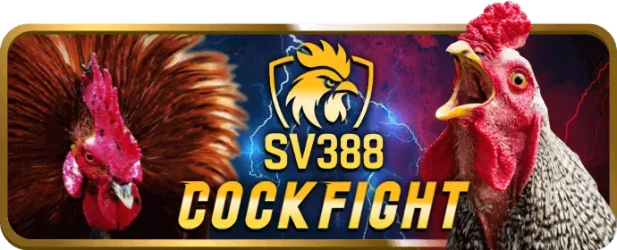 Thưởng nạp tiền hàng ngày cho slot games